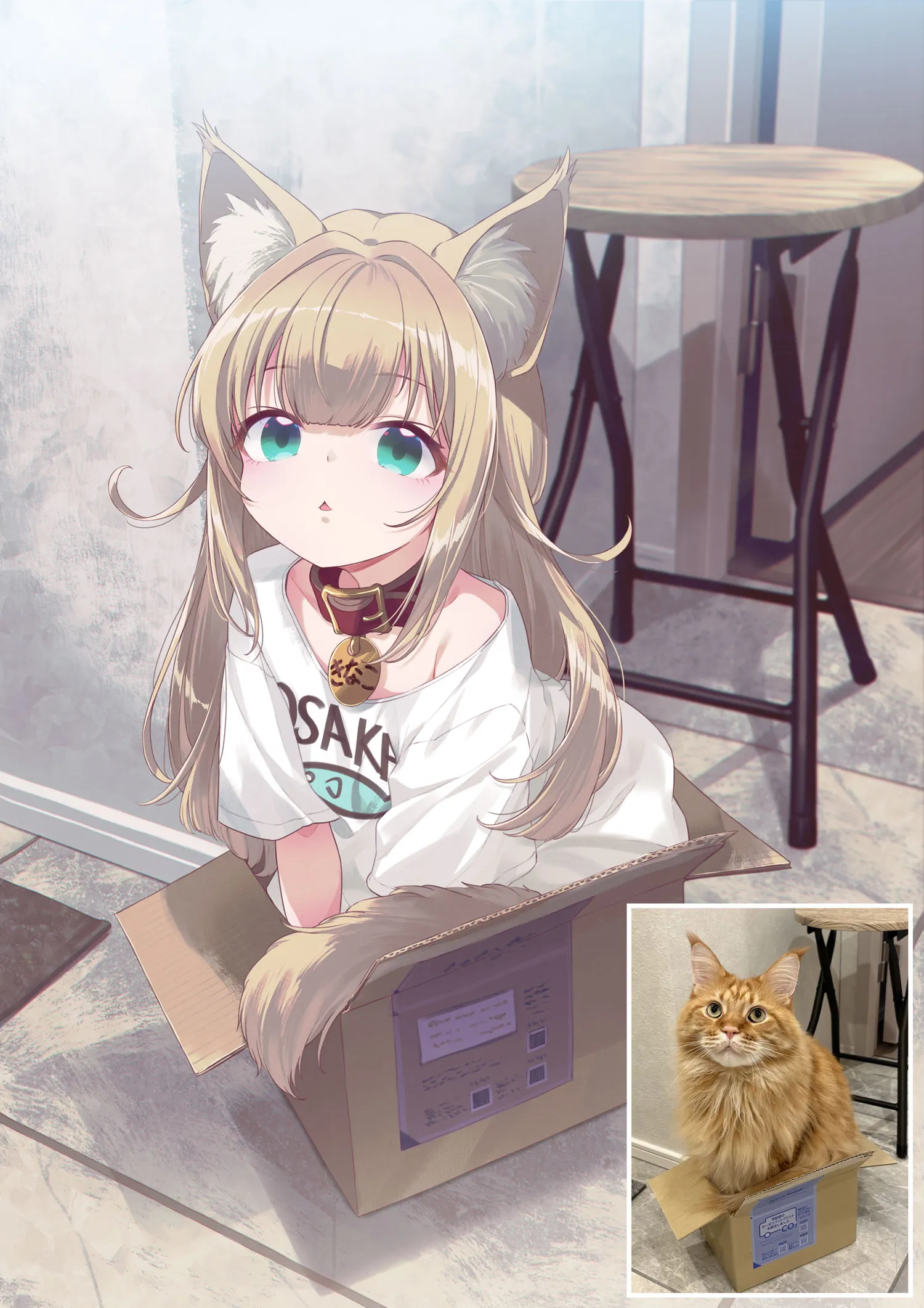 My Cat Is a Kawaii Girl #1
