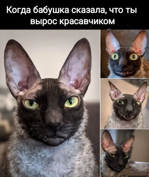 Красавчик #1