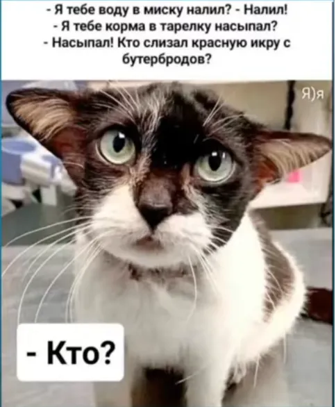 Это невинное лицо #1