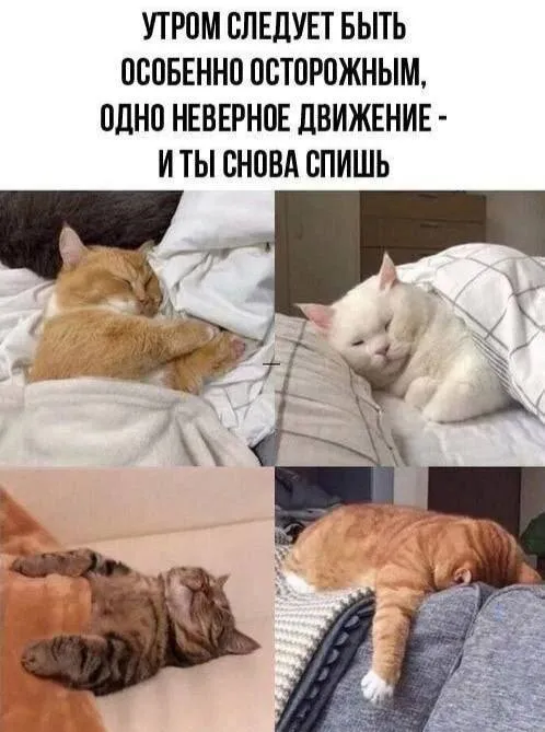 Доброе утро #1