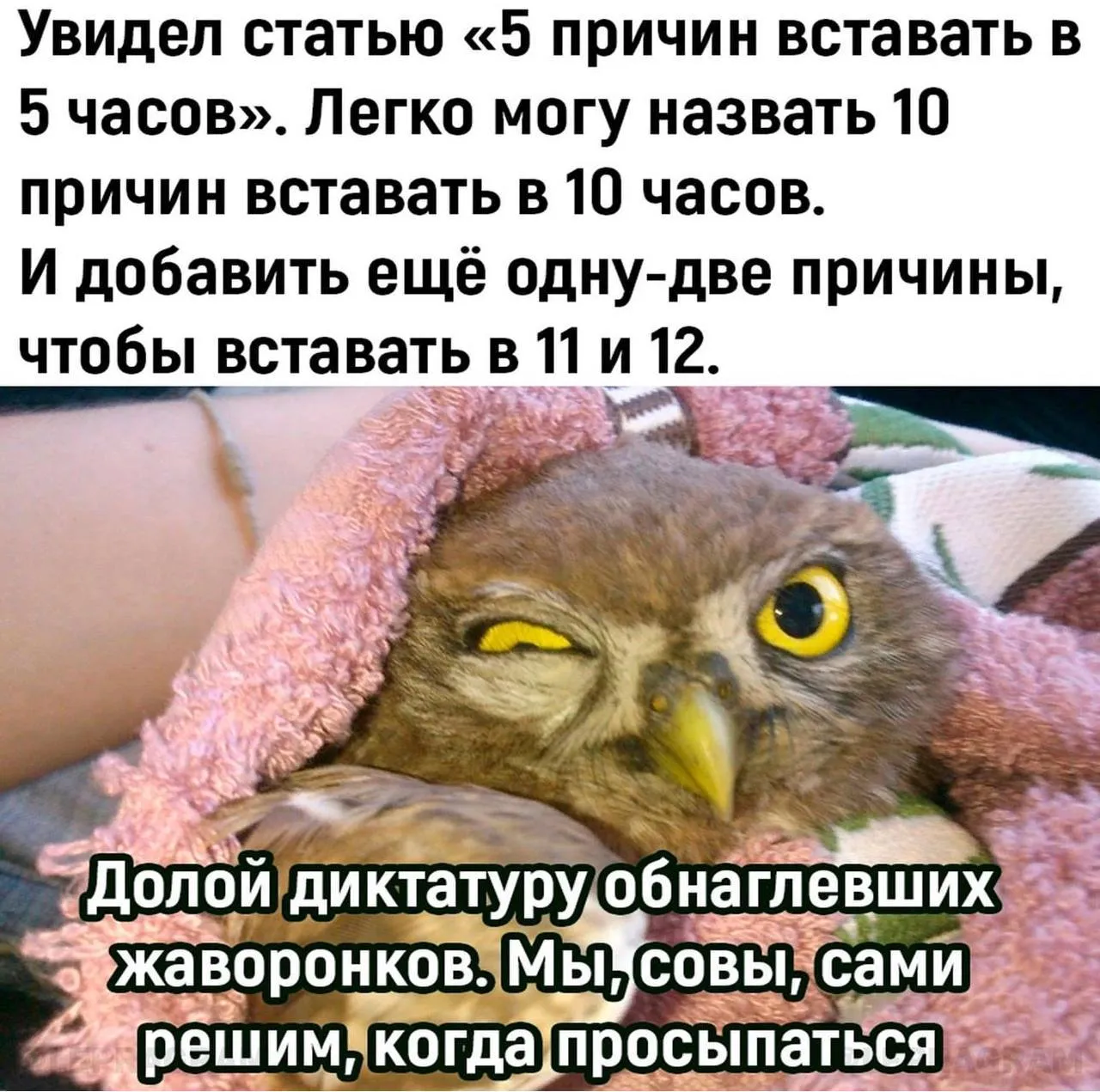 Немного утренней философии #2