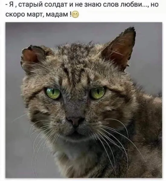 С первым днём весны #1