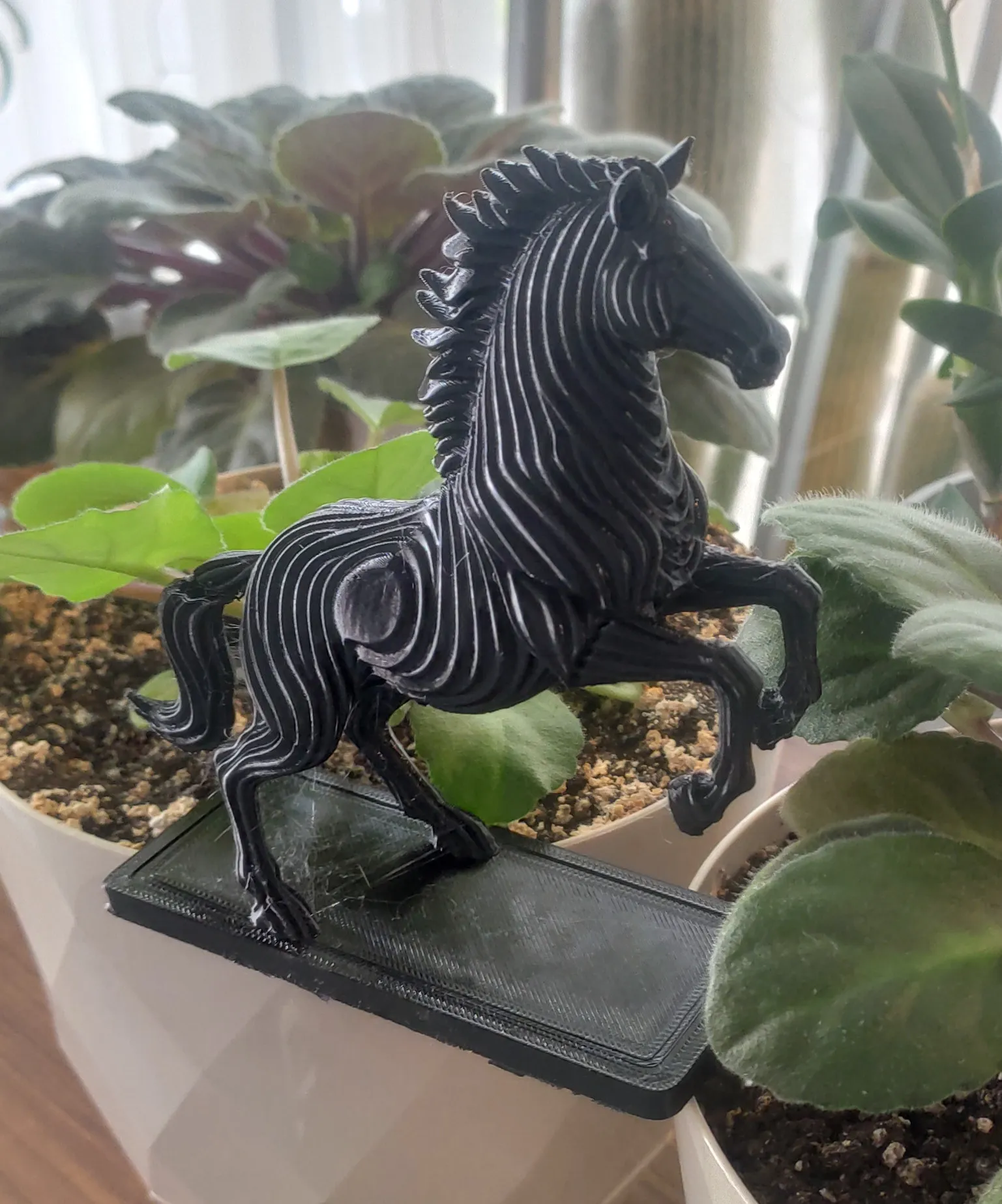 Majestic Topographic Stallion #4
