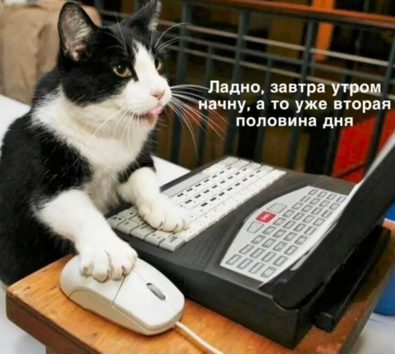 Когда работаешь из дома #2