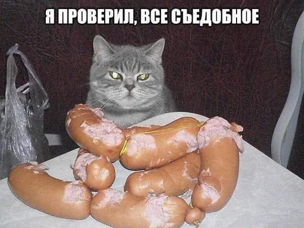 Глава команды тестировщиков выполнил задачу #1