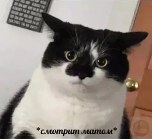 Не удержался, скрал... #1