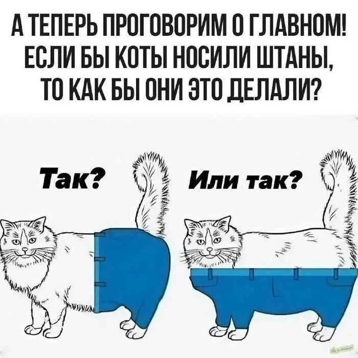 Сложный вопрос #2