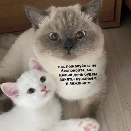 Давай просыпайся уже! #2