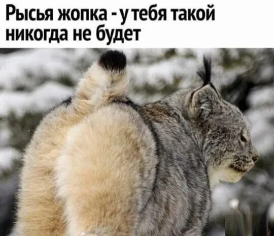 Смотрите какая у меня крутая картинка! #2