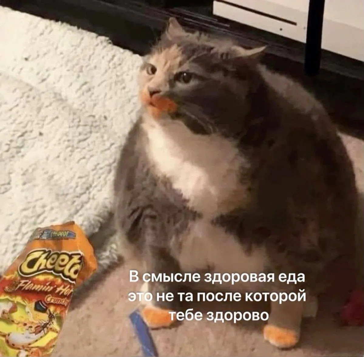 Змеюка обэдает #2