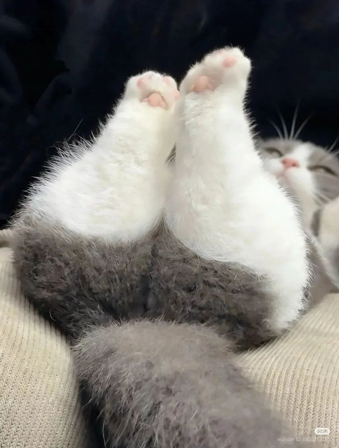 😊 #2