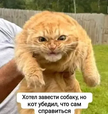 Доброе утро! :) #2