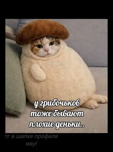 Купи слона! #10 #1