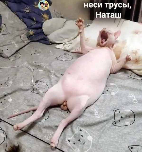 Доброе утро! :) #1