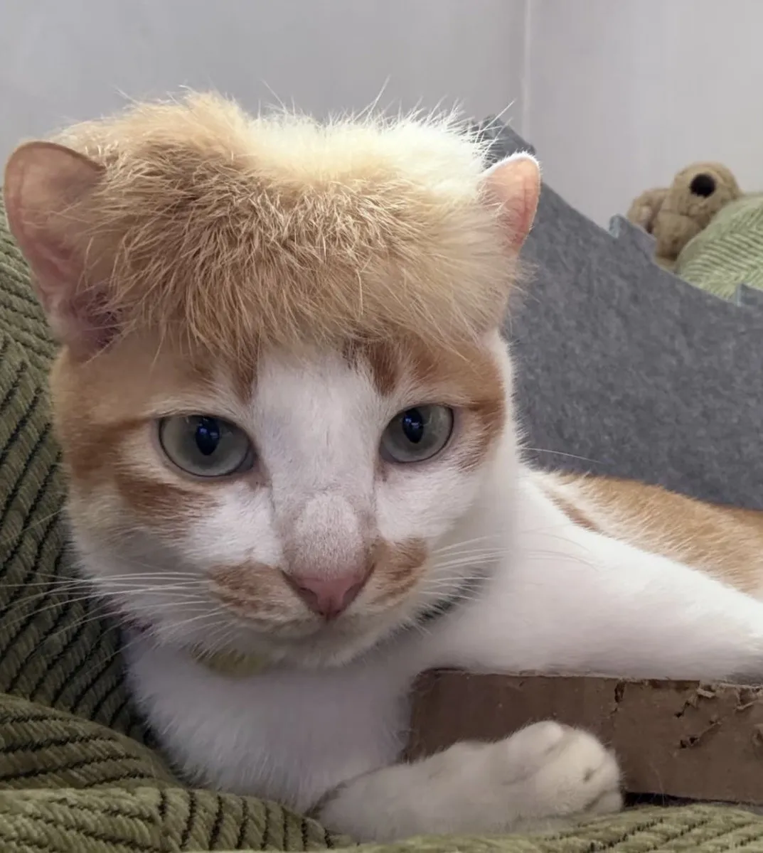 Причёска пацанская, чёткая