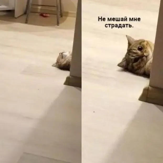 Скажи спасибо #2