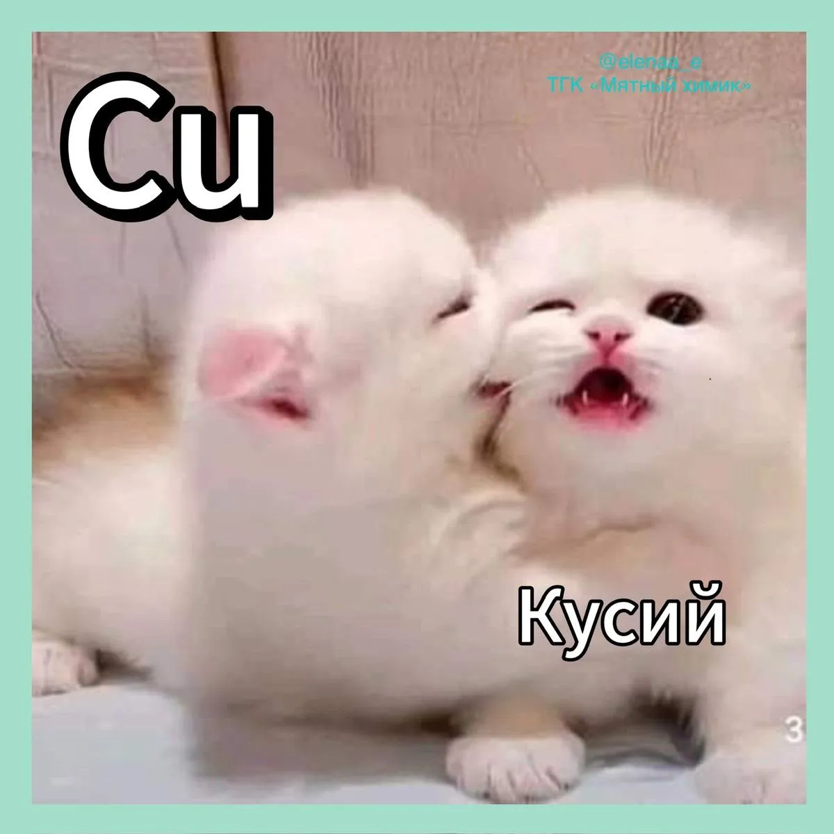 С Добрым Утром🌞🐾 #2