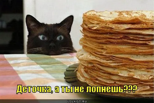 Давайте, закатывайте мне вечеринки! #2