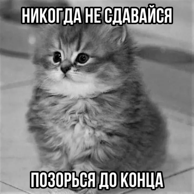Согласны ? #1