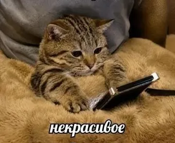 Сальный душитель это пожалуй лучший фильм который я видел #1
