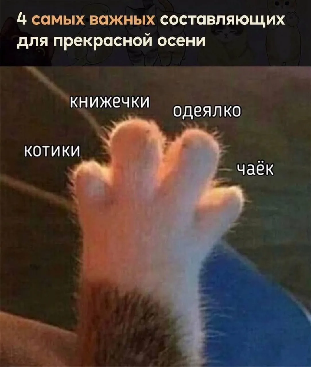 3 атрибута этого сентября! Пишите в комментариях- я начну #2