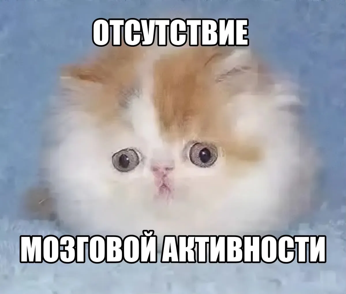 Волшебный телефон  #2