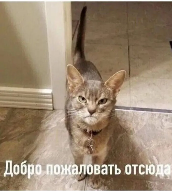 Исправление обхода бана [фидбек] #2