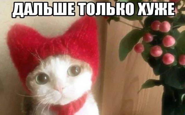 Опять понедельник 😢 #1