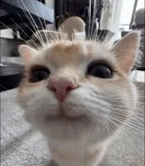 Всем сладких снов! 🥰😘 #2
