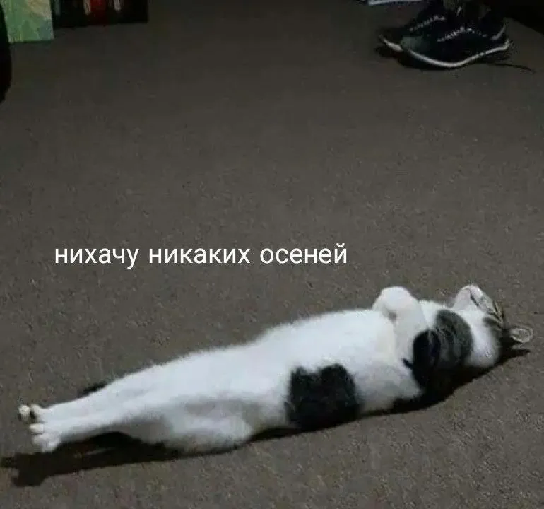 Улыбнись #1