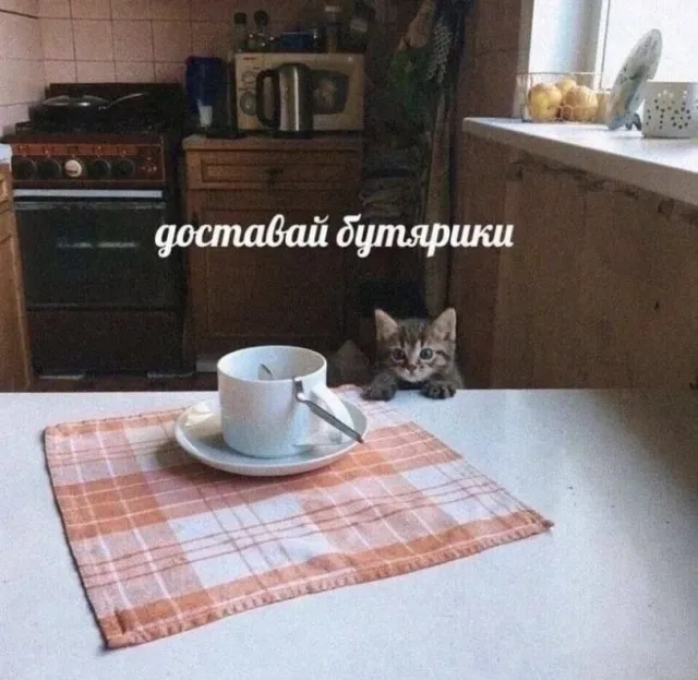 Разогретый беляш #1