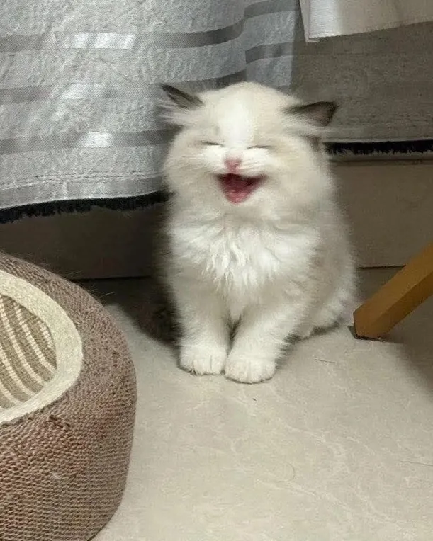 😁 #2