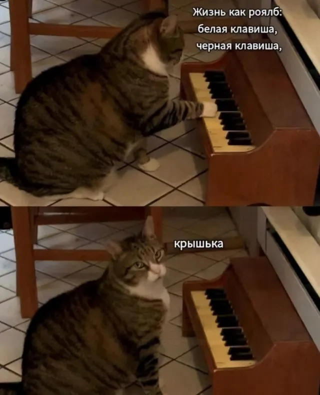 А вас не настораживает, что нам не называют очередную дату конца света? #2