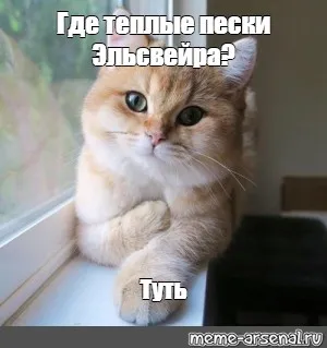 Какой-то заголовок #1