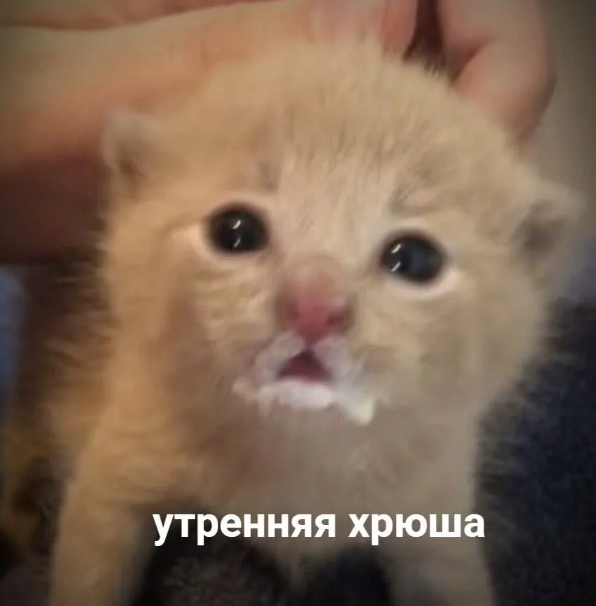 Обжора 🐌 #1
