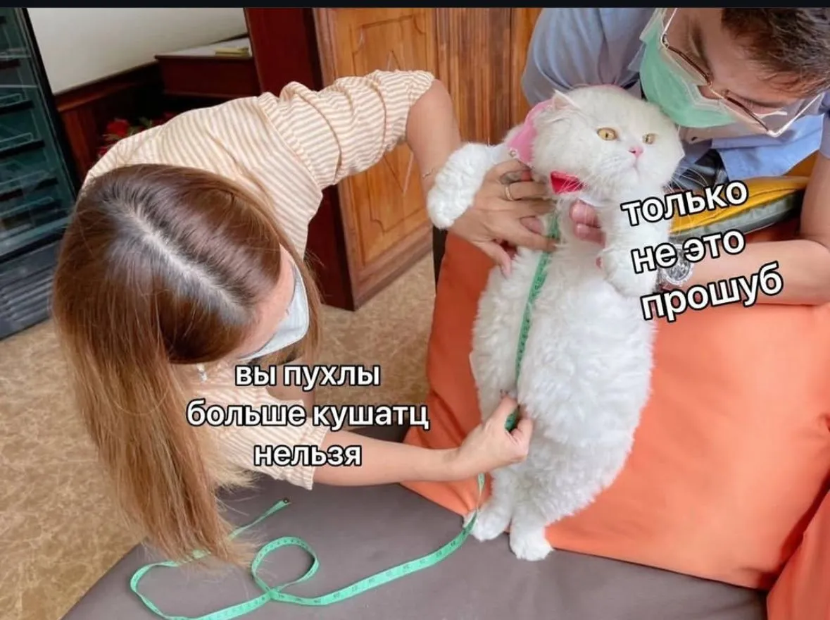 Наперегонки 😉 #1