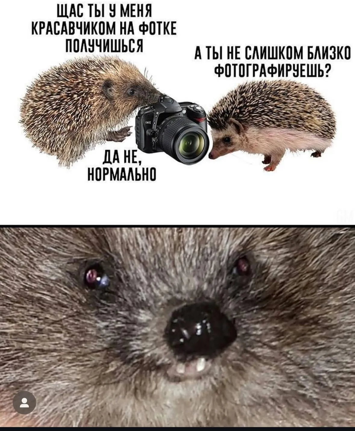 Всем спокойной ночи #1