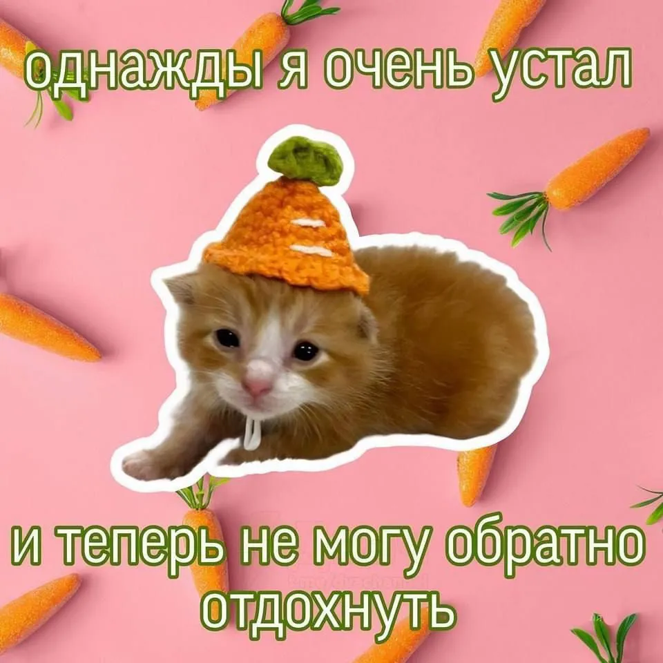 Тест на усталость #1