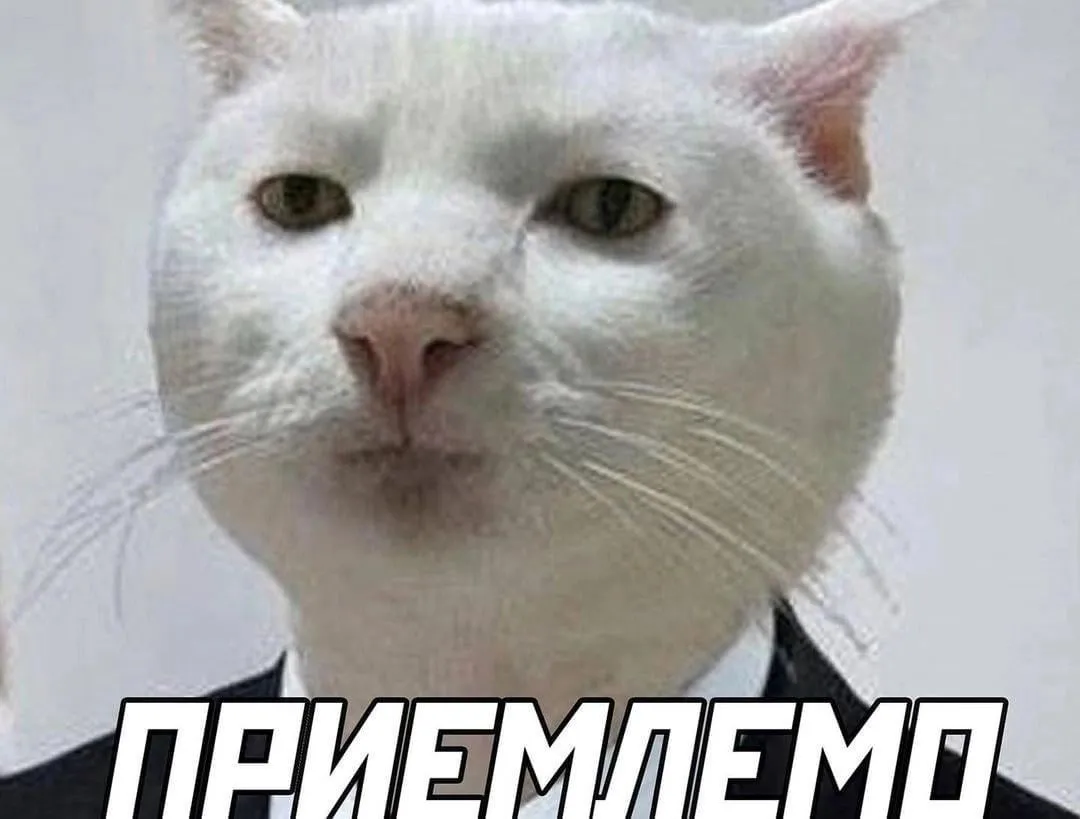 Я не могу лишить вас такого удовольствия... #1
