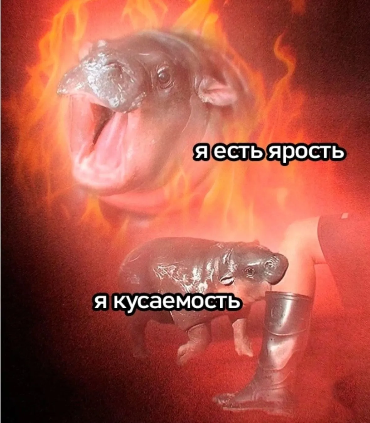Пикси и Брут IRL #1