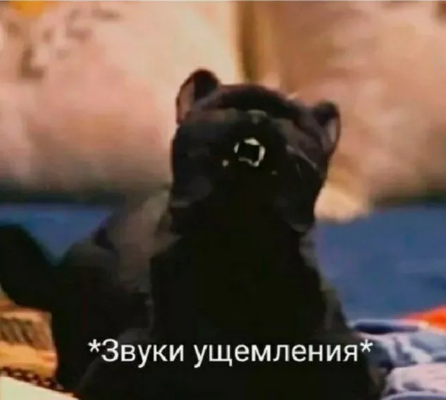 Доброе утро (вкл. звук) #2