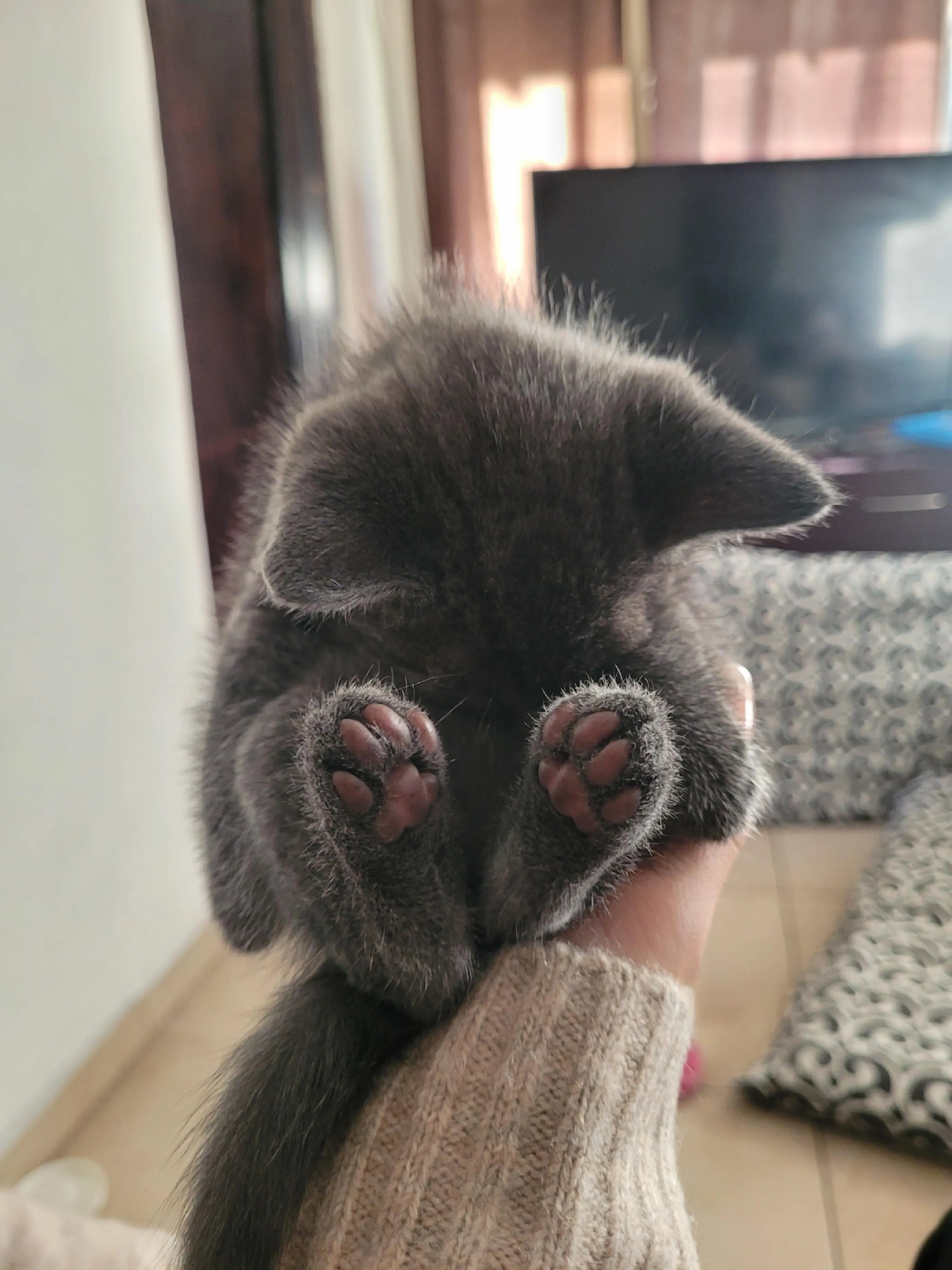 Математика 4 класс  #2