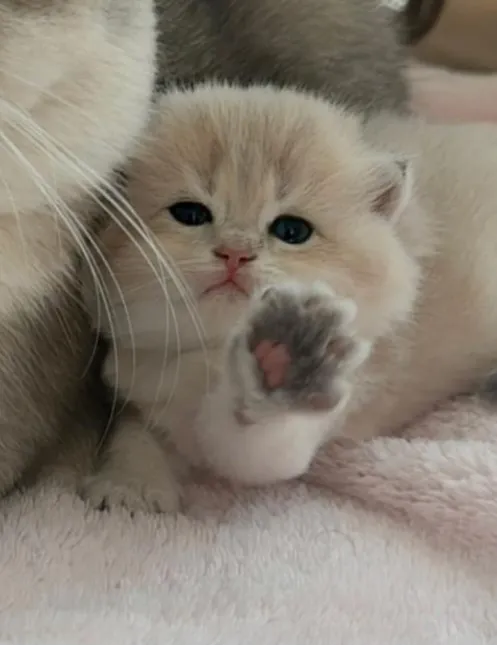 Ереванские мотивы! #5 #2