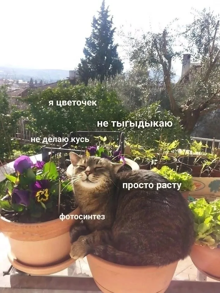 Ереванские мотивы! #5 #2