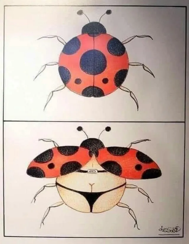 Божья коровка🐞 #1
