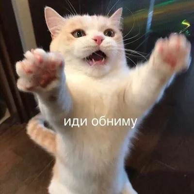 Новый дизайн списка пользователей [фидбек] #1
