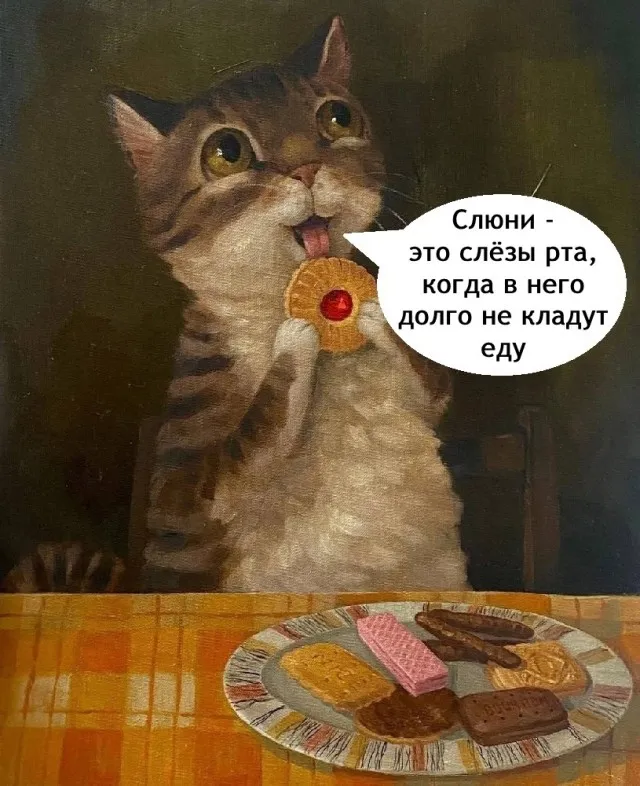 Типичные коты #2