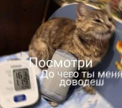 Сложное для понимание иностранцами #2