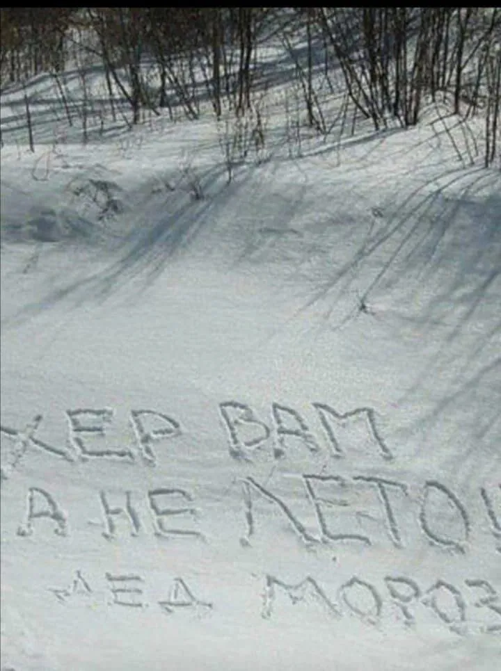 Забытый подарок от Деда Мороза  #1