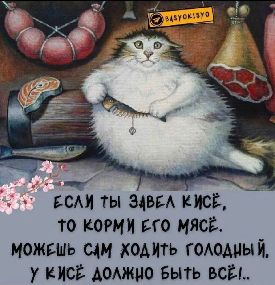 👀🐈👀 #1